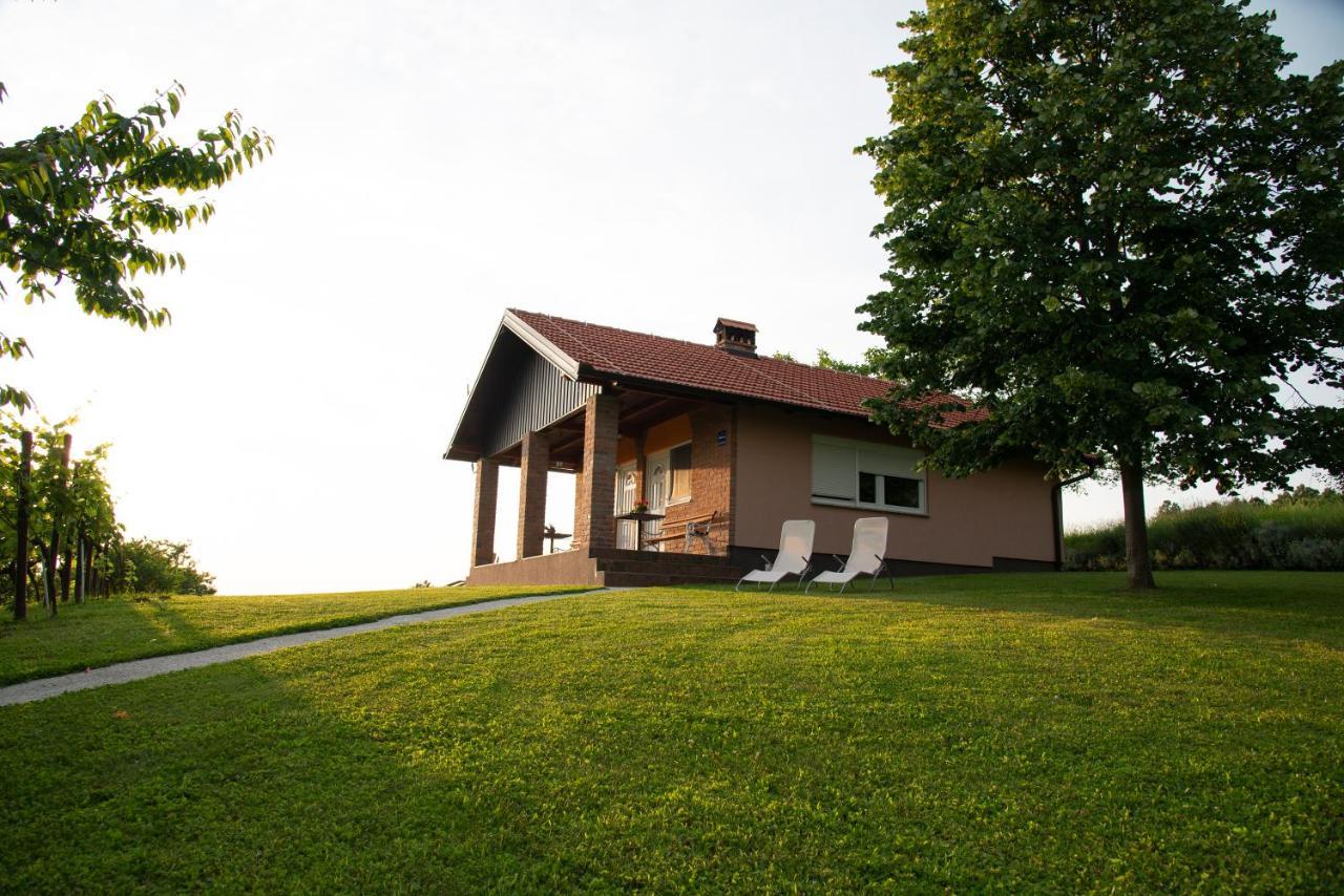 Guest House Blazevic Gornja Gracenica Exteriör bild